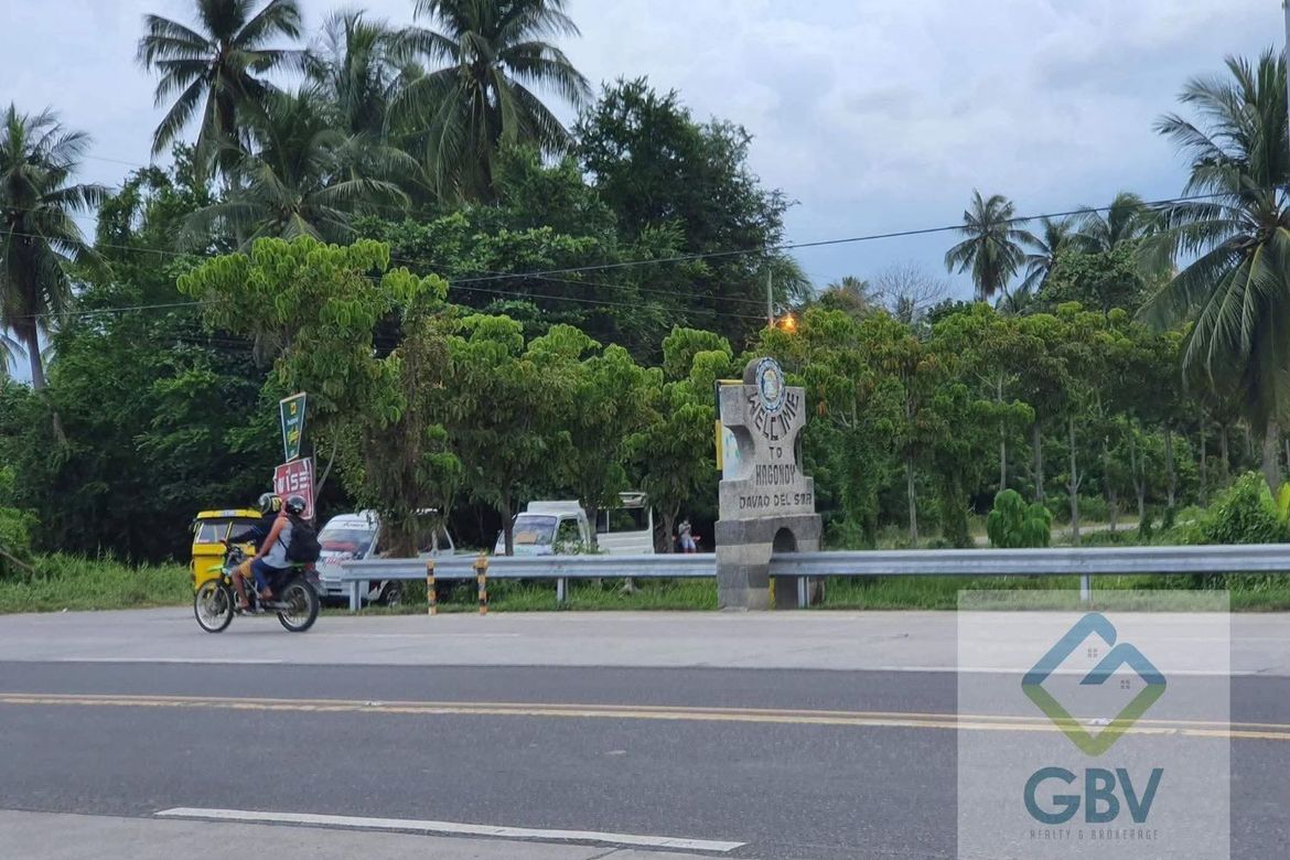 Land for Sale in Zone 3, Digos, Davao del Sur – photo 8