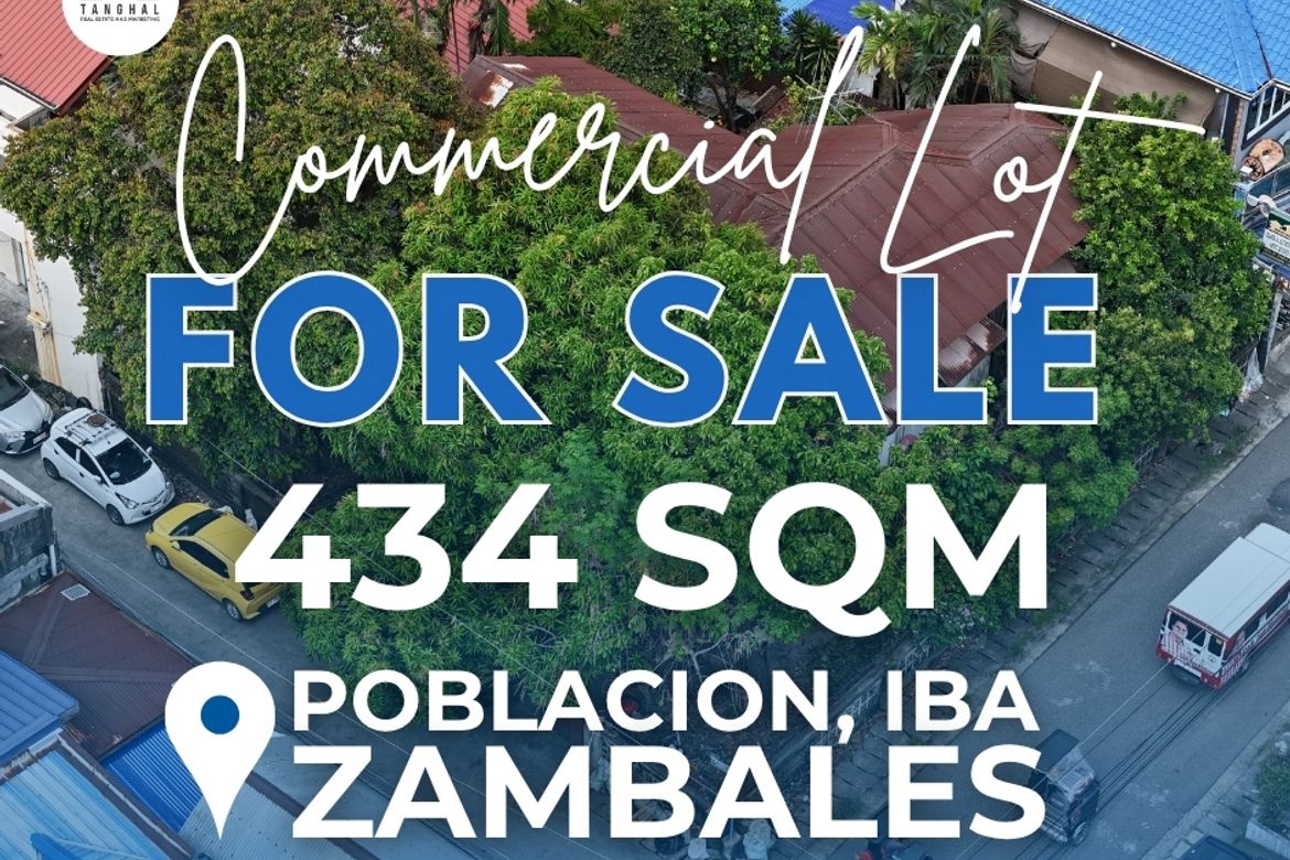 Land for Sale in Zone 4 Poblacion, Iba, Zambales