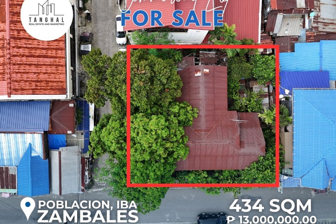 Land for Sale in Zone 4 Poblacion, Iba, Zambales – photo 2