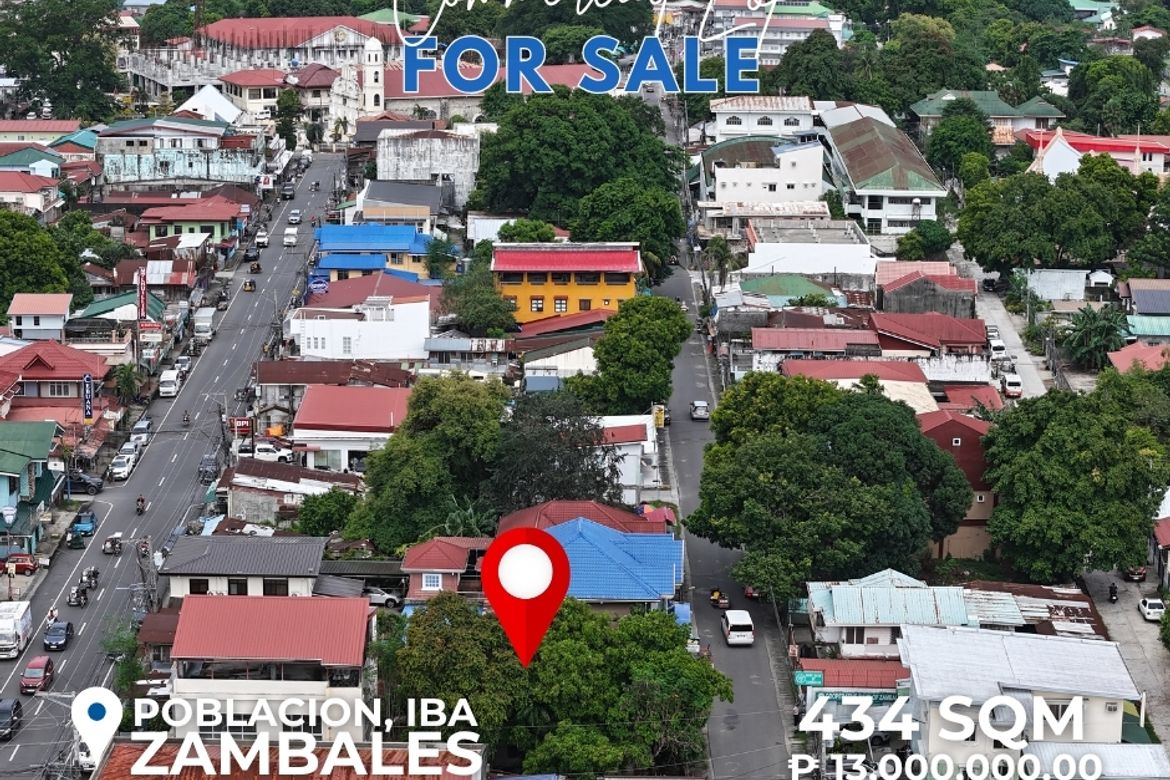 Land for Sale in Zone 4 Poblacion, Iba, Zambales – photo 4