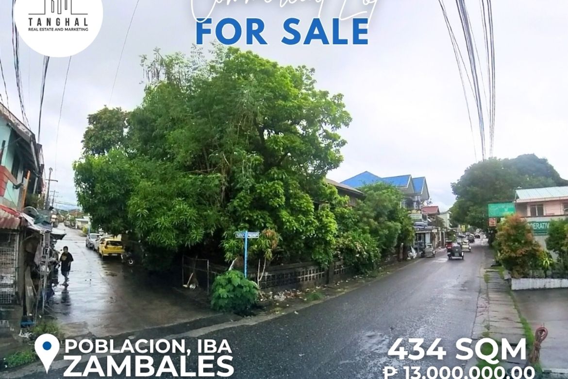 Land for Sale in Zone 4 Poblacion, Iba, Zambales – photo 6