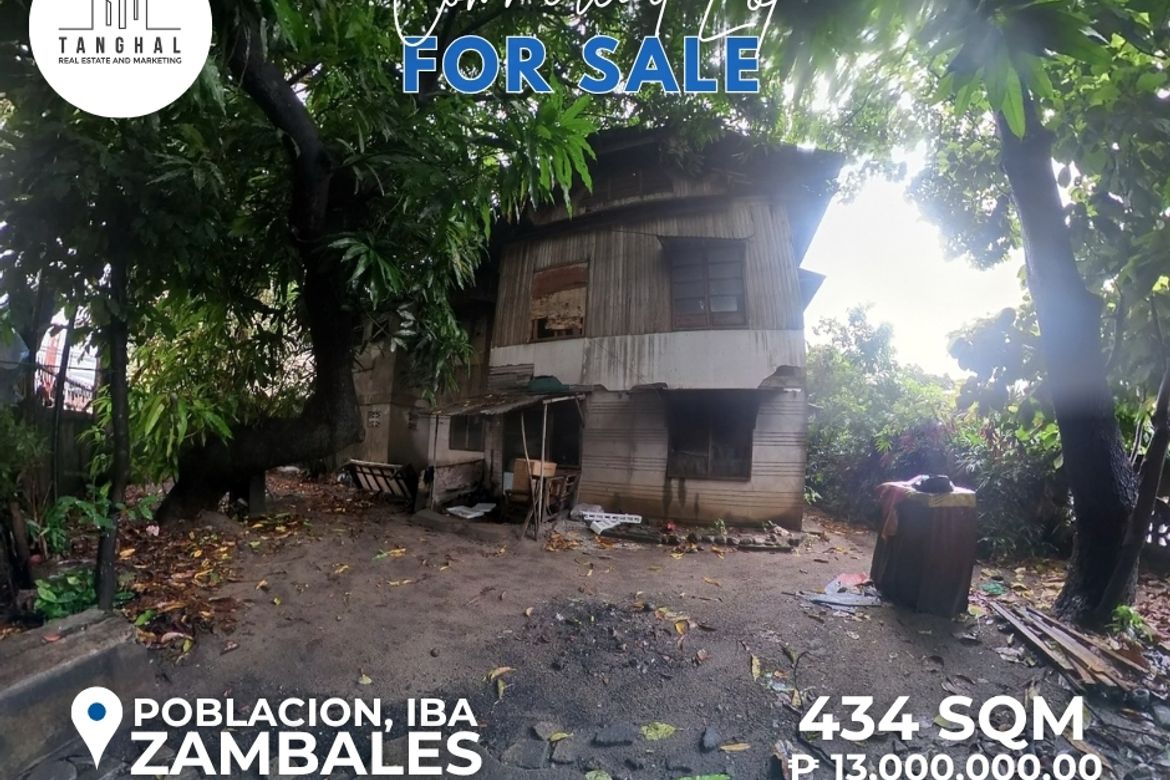 Land for Sale in Zone 4 Poblacion, Iba, Zambales – photo 7