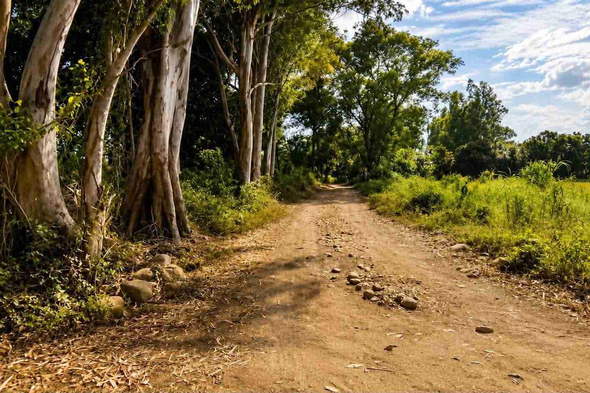 Land for Sale in Zone 5 Poblacion, Iba, Zambales – photo 3