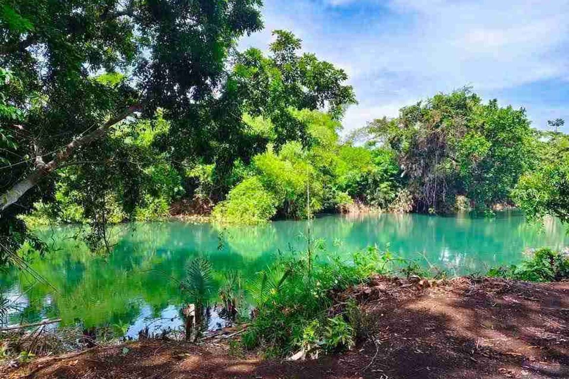 Land for Sale in Zone 5 Poblacion, Iba, Zambales