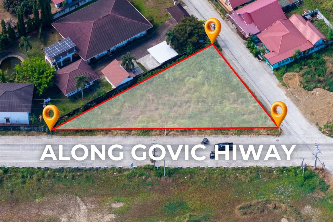 Land for Sale in Zone 5 Poblacion, Iba, Zambales – photo 3