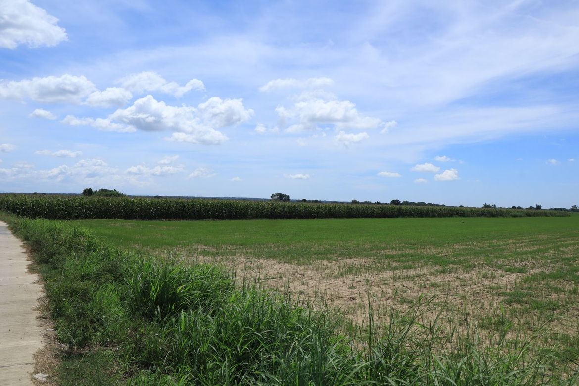 Land for Sale in Zone II, Villasis, Pangasinan – photo 4