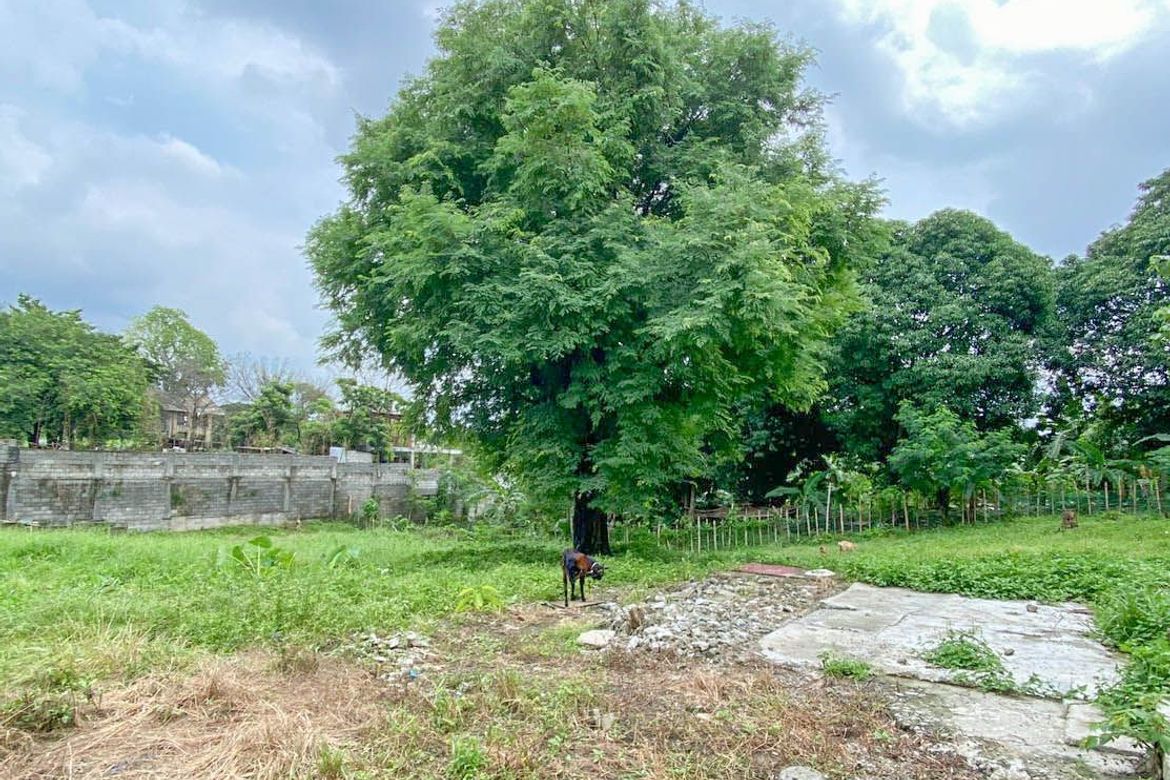 Land for Sale in Zone III, Dasmariñas, Cavite