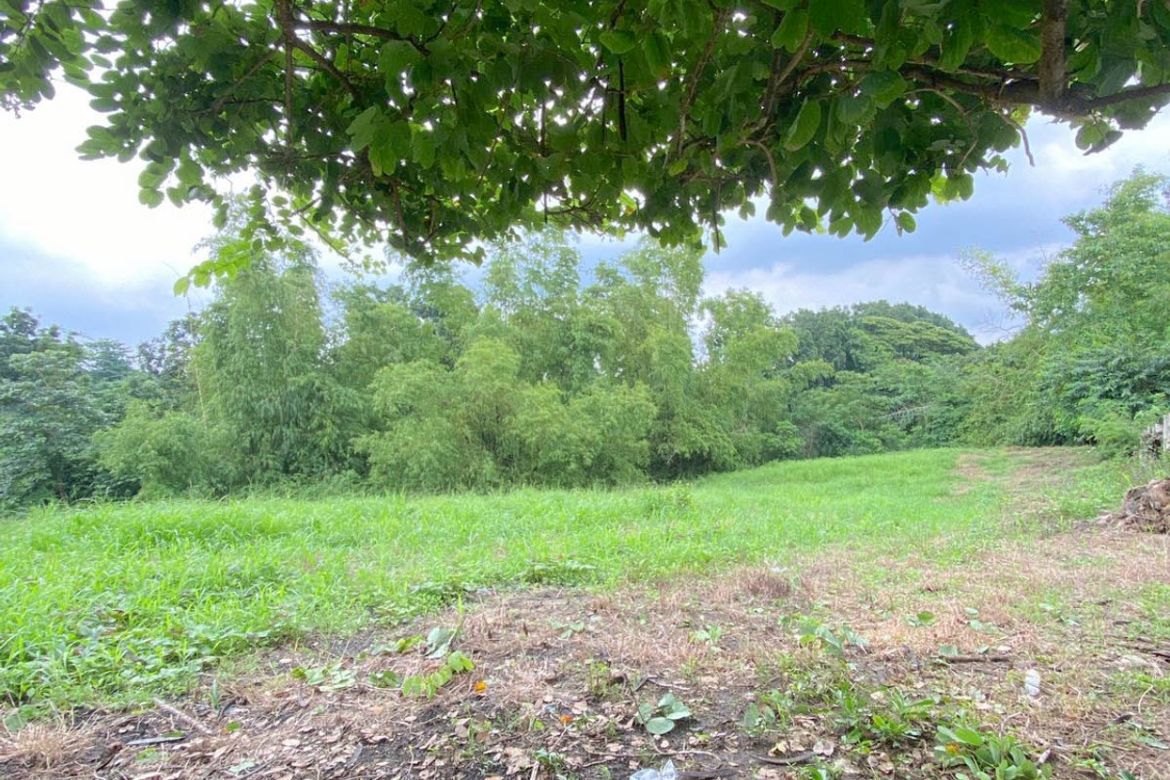 Land for Sale in Zone III, Dasmariñas, Cavite