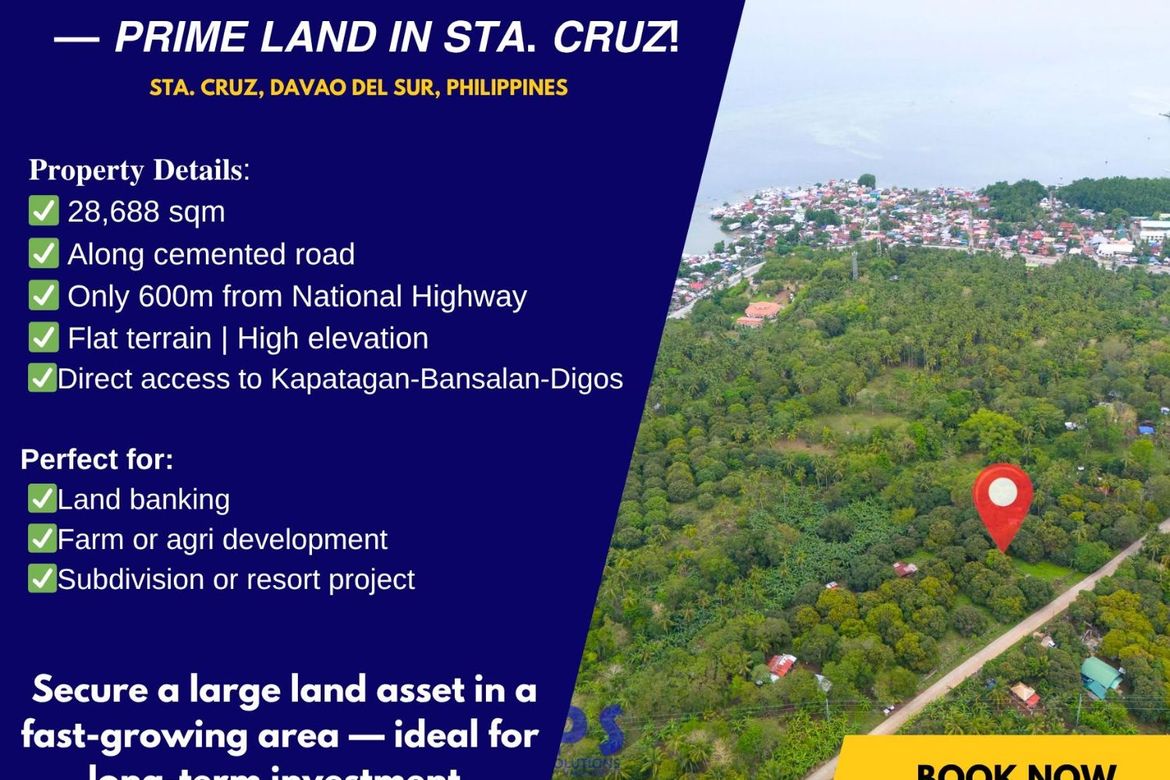 Land for Sale in Zone III, Santa Cruz, Davao del Sur