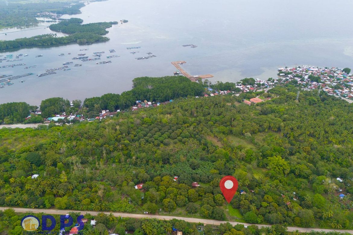 Land for Sale in Zone III, Santa Cruz, Davao del Sur – photo 3