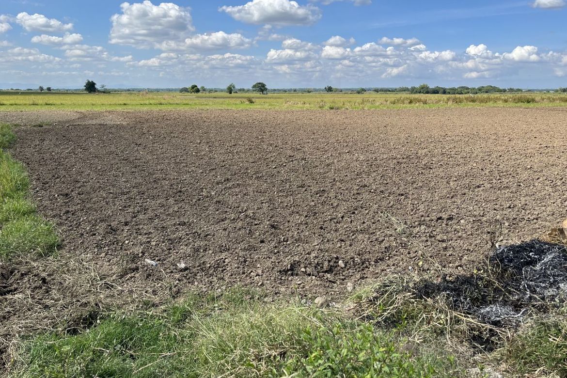 Land for Sale in Zone III, Villasis, Pangasinan – photo 2