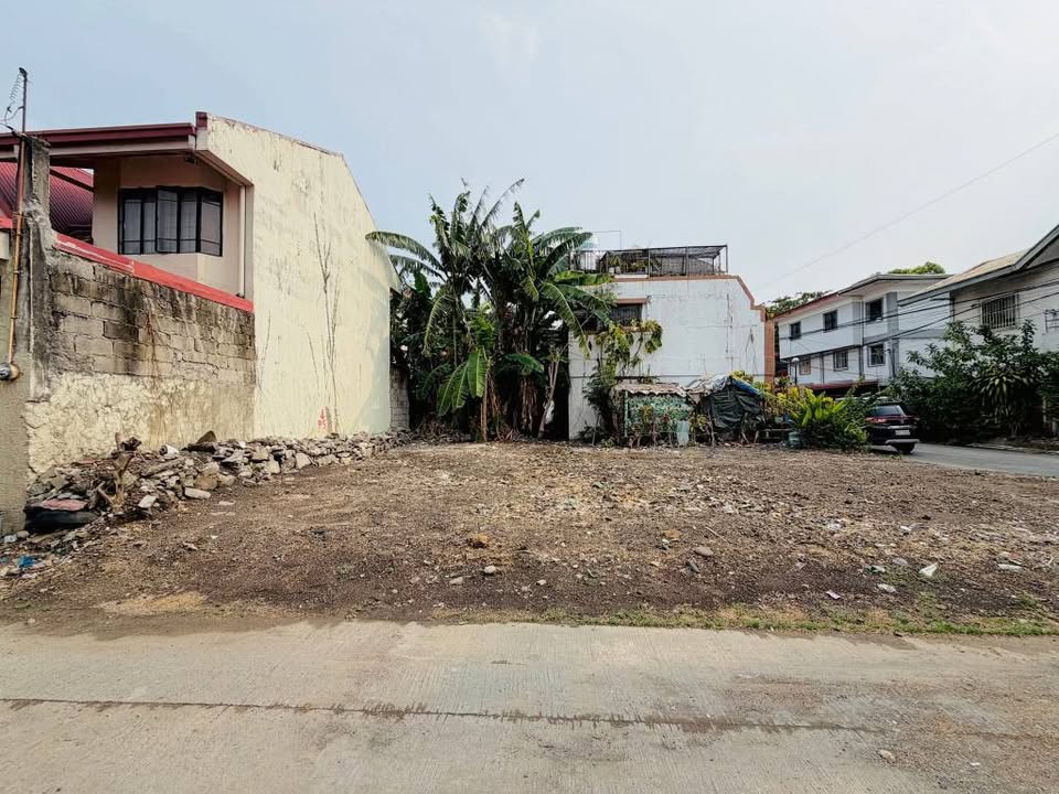 Residential Lot for Sale in Better Living, Parañaque – photo 2