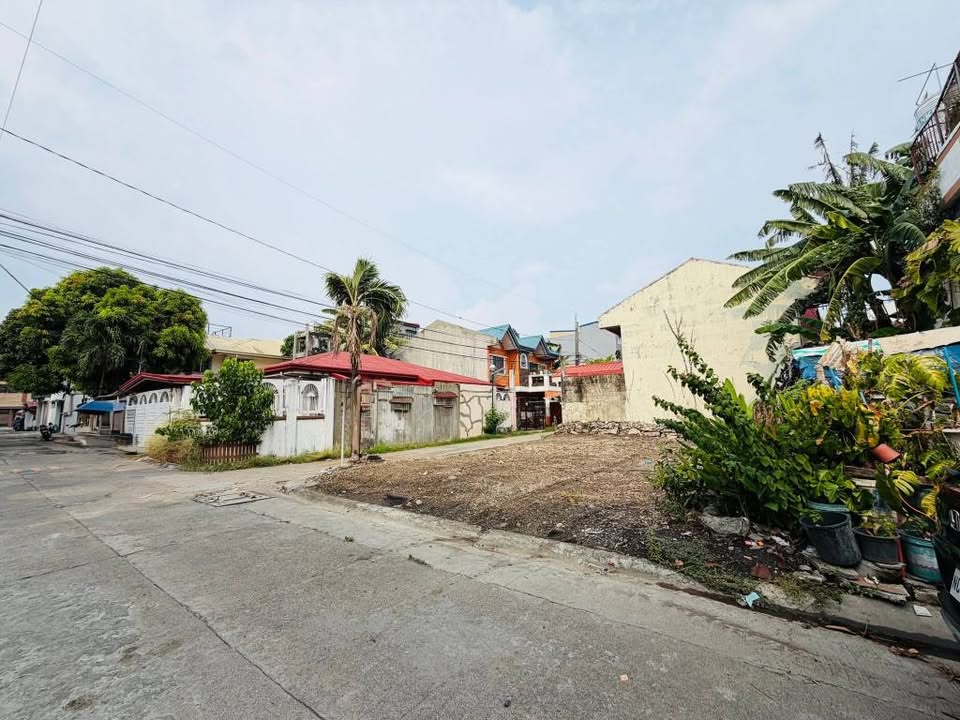 Residential Lot for Sale in Better Living, Parañaque – photo 6