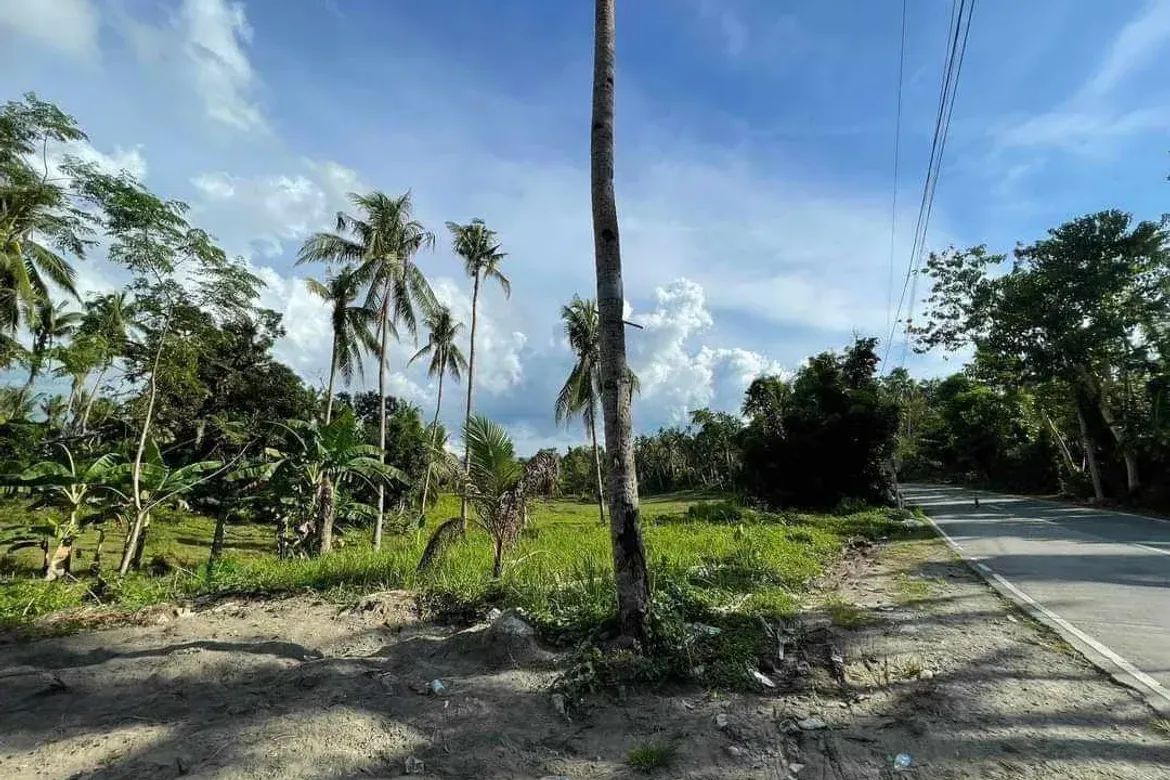 Townhouse for Sale in Kawasan, Aloguinsan, Cebu – photo 8