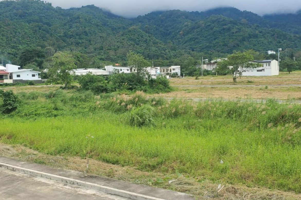 Townhouse for Sale in Pansol, Calamba, Laguna – photo 2