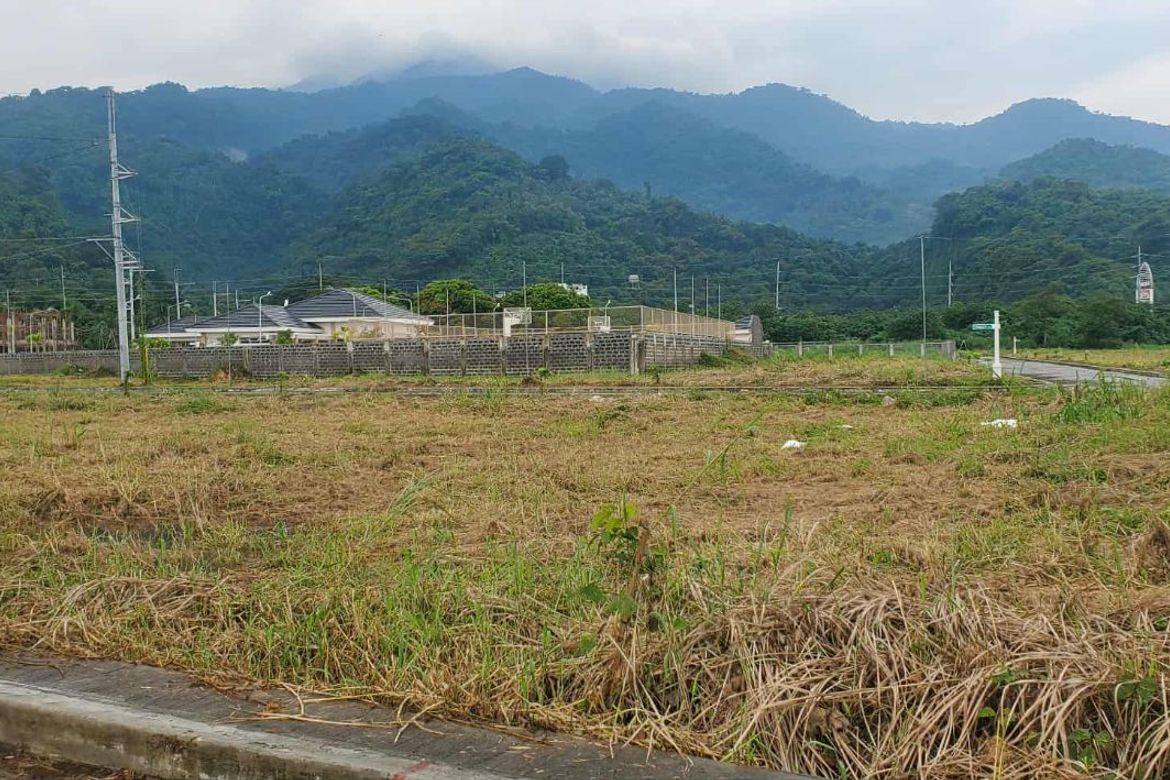 Townhouse for Sale in Pansol, Calamba, Laguna – photo 5