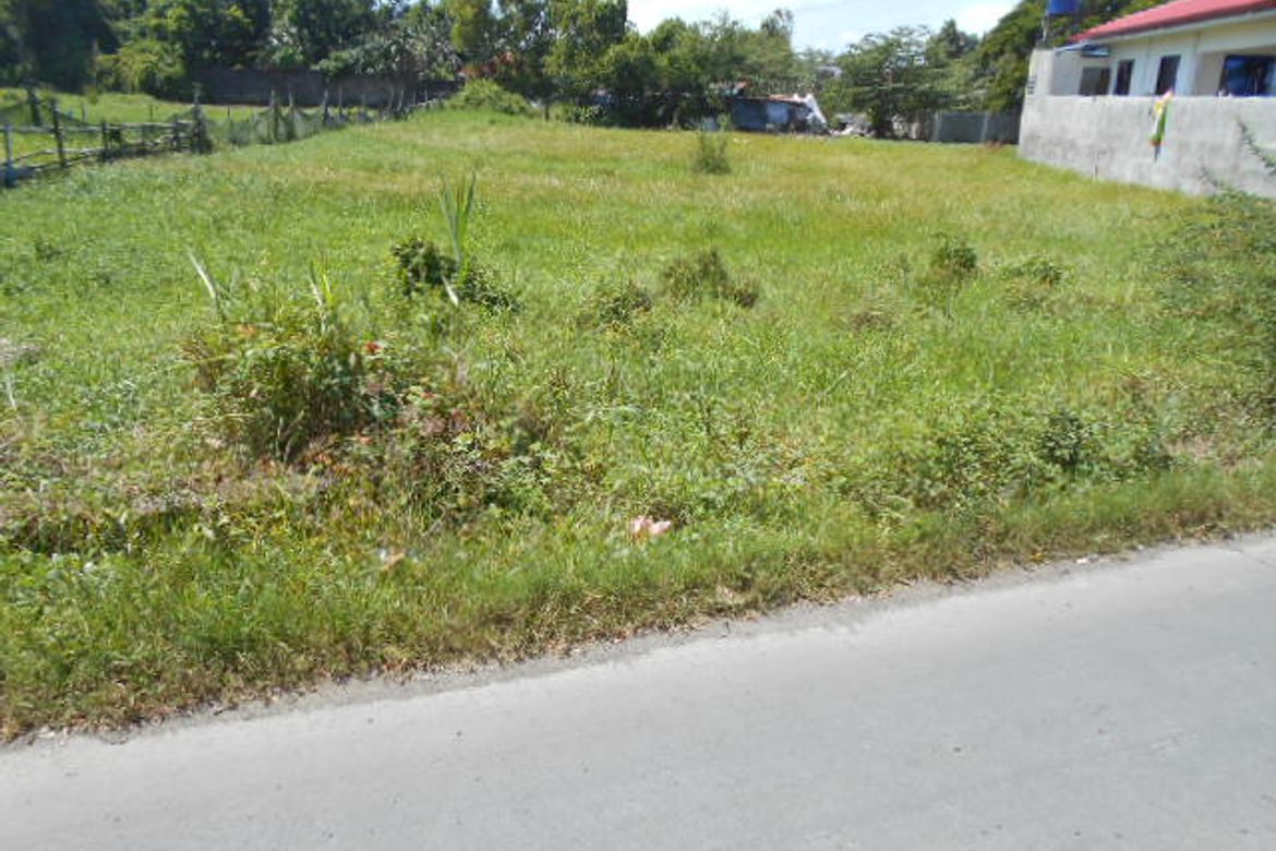 Warehouse / Factory for Sale in Buhang Taft North, Iloilo City, Iloilo