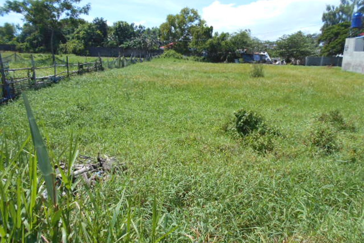 Warehouse / Factory for Sale in Buhang Taft North, Iloilo City, Iloilo – photo 5
