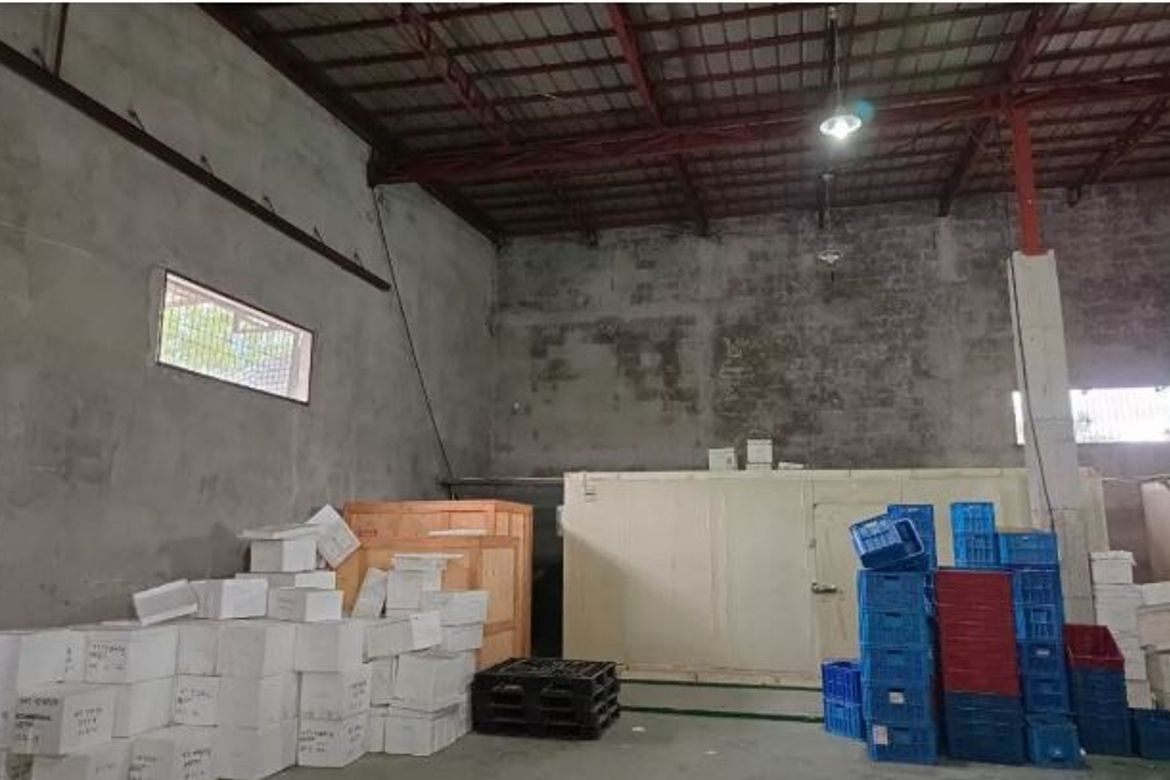 Warehouse / Factory for Sale in Calibutbut, Bacolor, Pampanga – photo 8