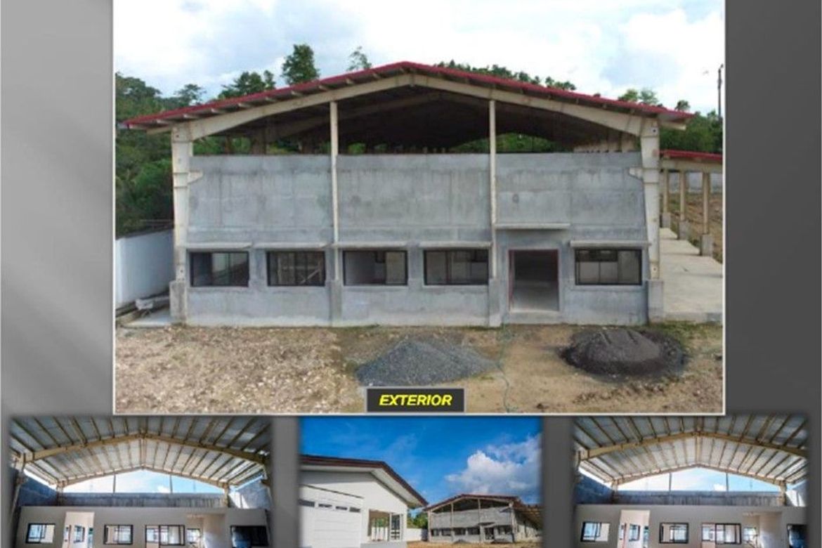 Warehouse / Factory for Sale in Canangca-An, Corella, Bohol – photo 4