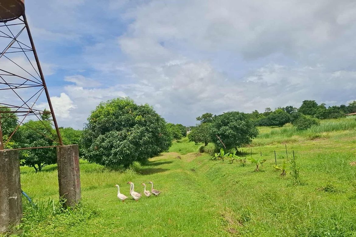 Warehouse / Factory for Sale in Kaligayahan, Quezon City, Metro Manila – photo 2