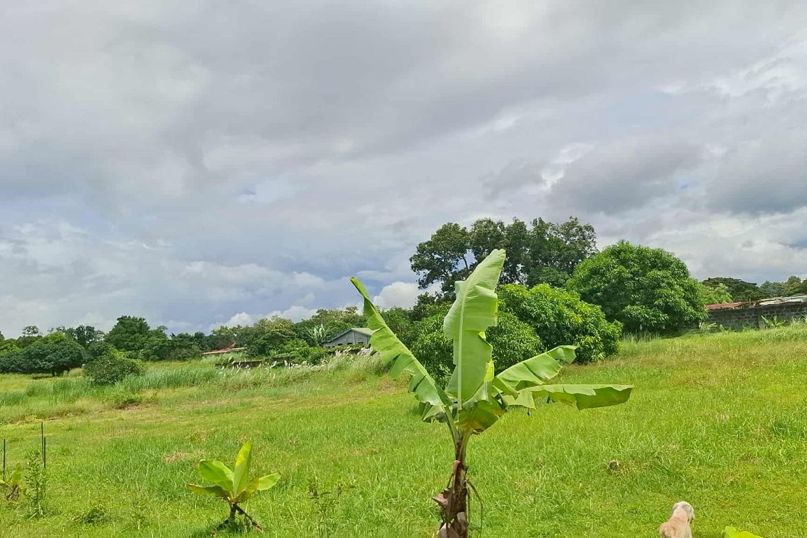 Warehouse / Factory for Sale in Kaligayahan, Quezon City, Metro Manila – photo 3