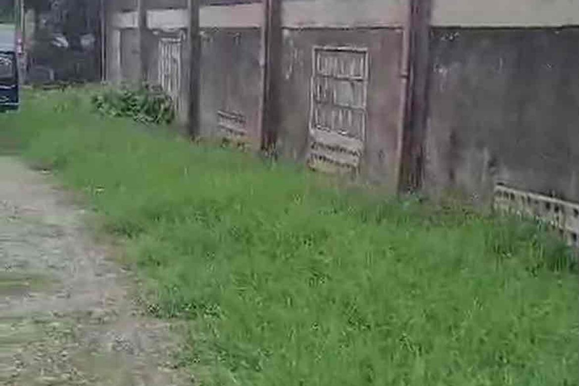 Warehouse / Factory for Sale in Mangas I, Alfonso, Cavite – photo 3