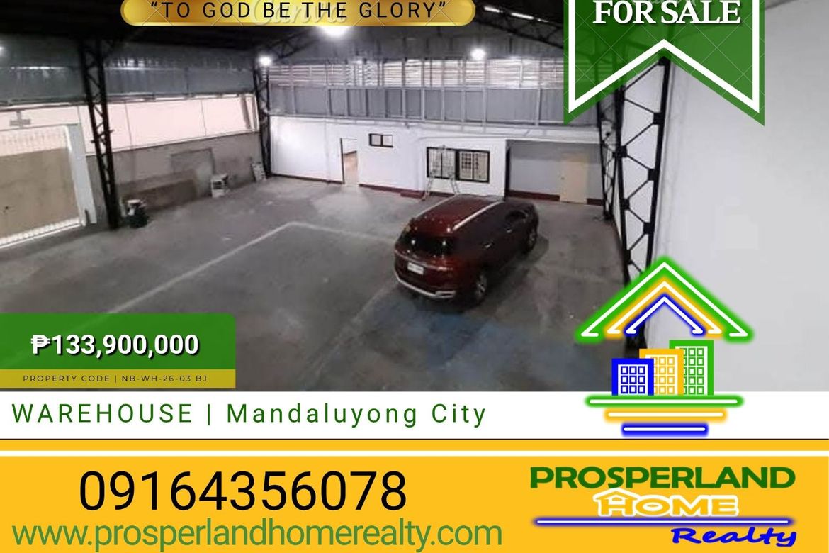 Warehouse / Factory for Sale in Plainview, Mandaluyong, Metro Manila near MRT-3 Boni