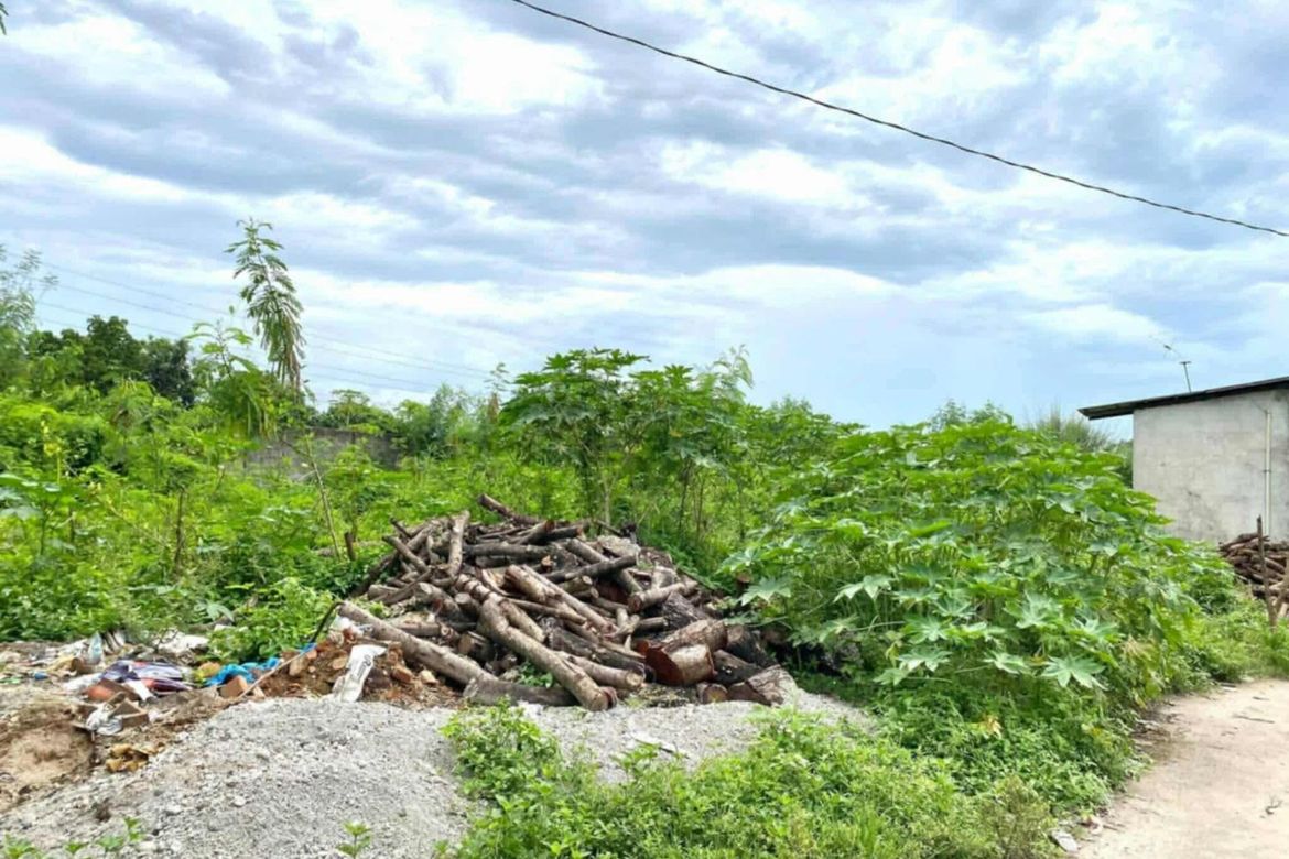 Warehouse / Factory for Sale in Plazang Luma, Arayat, Pampanga – photo 7