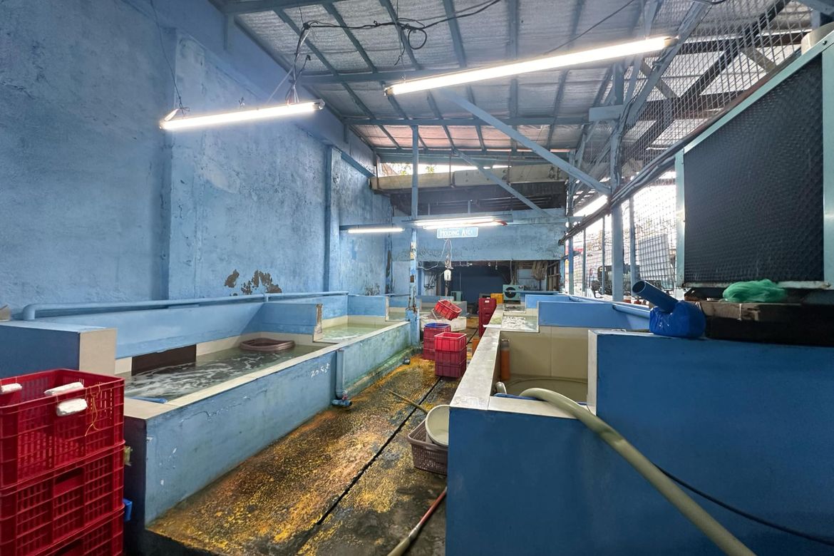 Warehouse / Factory for Sale in San Isidro, Parañaque, Metro Manila – photo 3