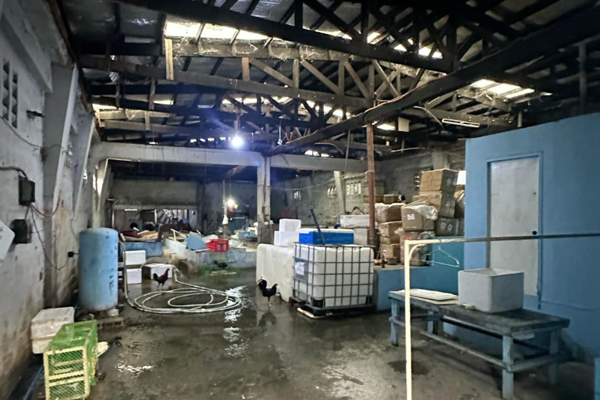 Warehouse / Factory for Sale in San Isidro, Parañaque, Metro Manila – photo 4