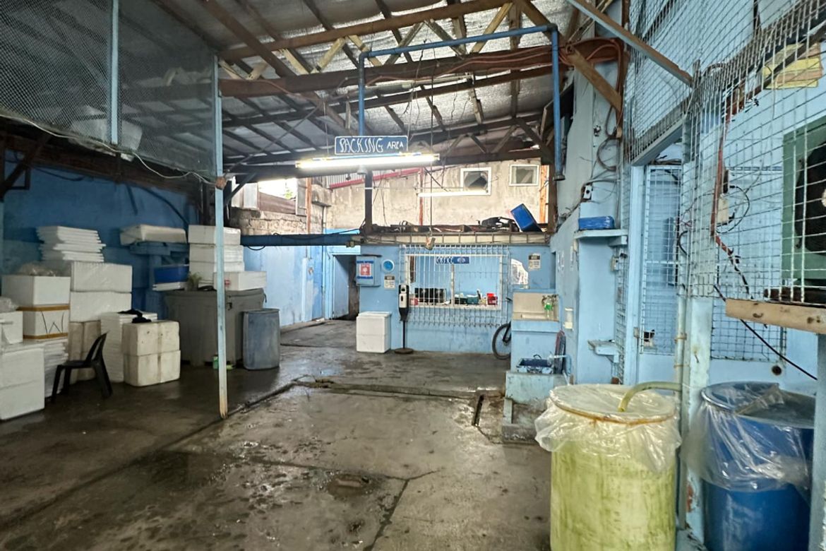 Warehouse / Factory for Sale in San Isidro, Parañaque, Metro Manila – photo 5