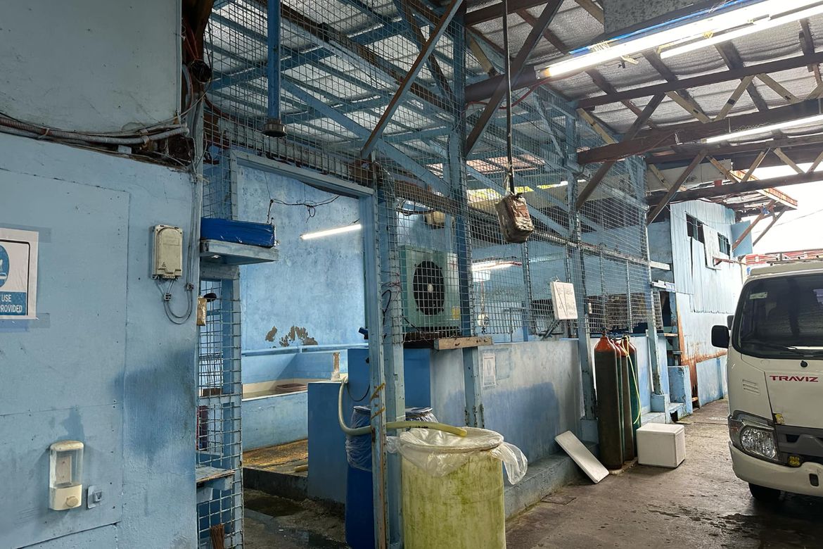 Warehouse / Factory for Sale in San Isidro, Parañaque, Metro Manila – photo 6