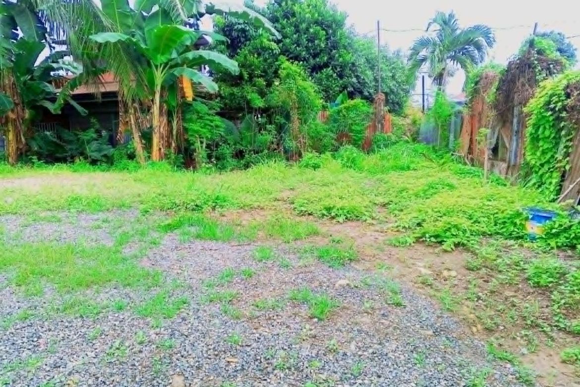 Warehouse / Factory for Sale in Talamban, Cebu City, Cebu – photo 3