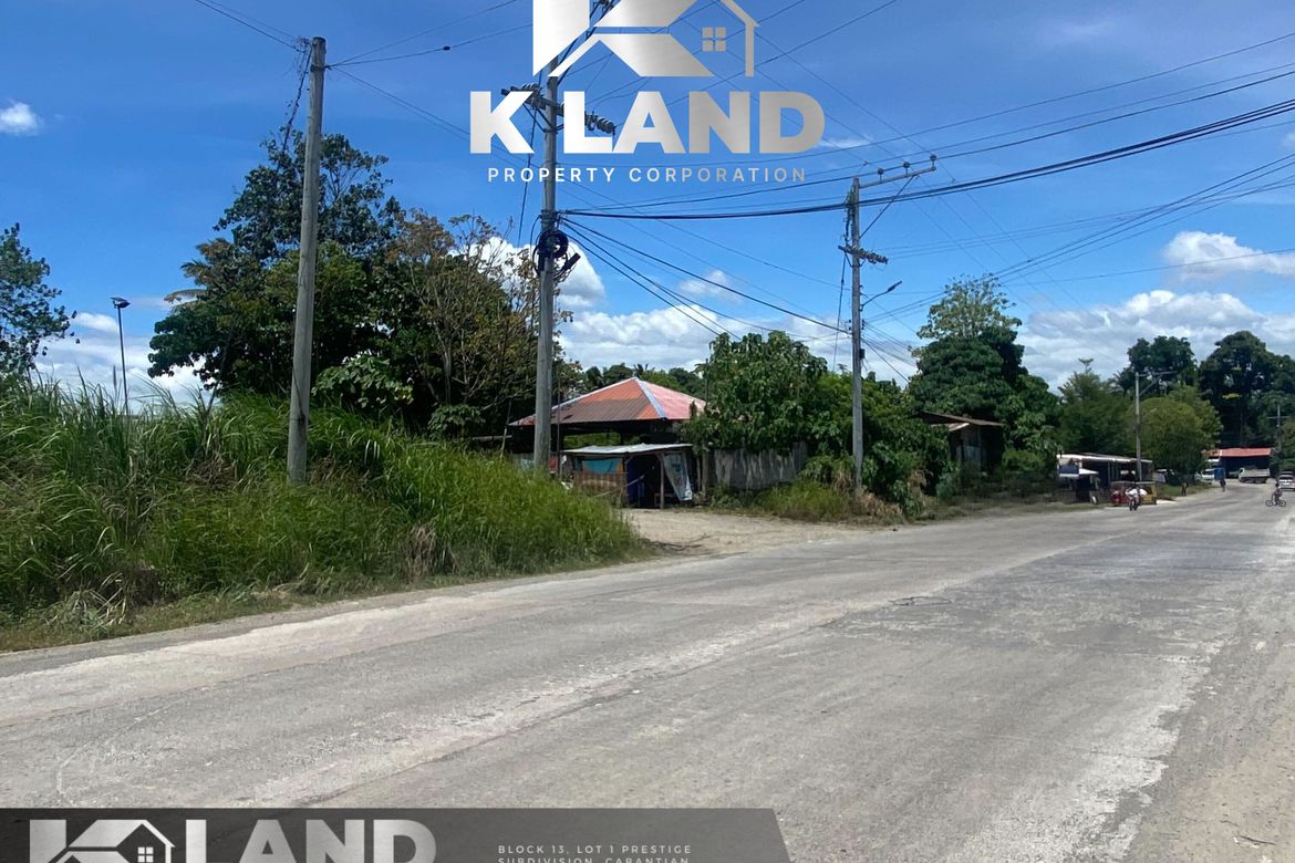 Warehouse / Factory for Sale in Tibungco, Davao City, Davao del Sur – photo 2